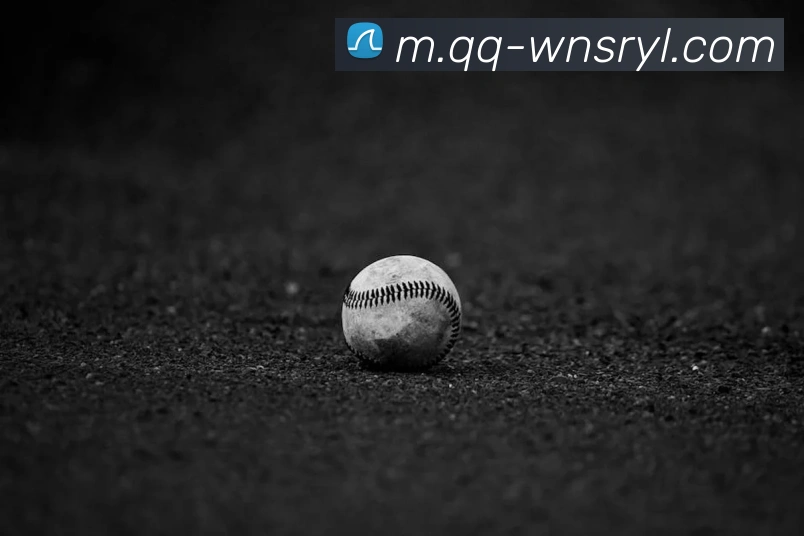 威尼斯人官网平台生态图